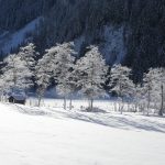 Winterlandschaft im Talschluss von Hüttschlag