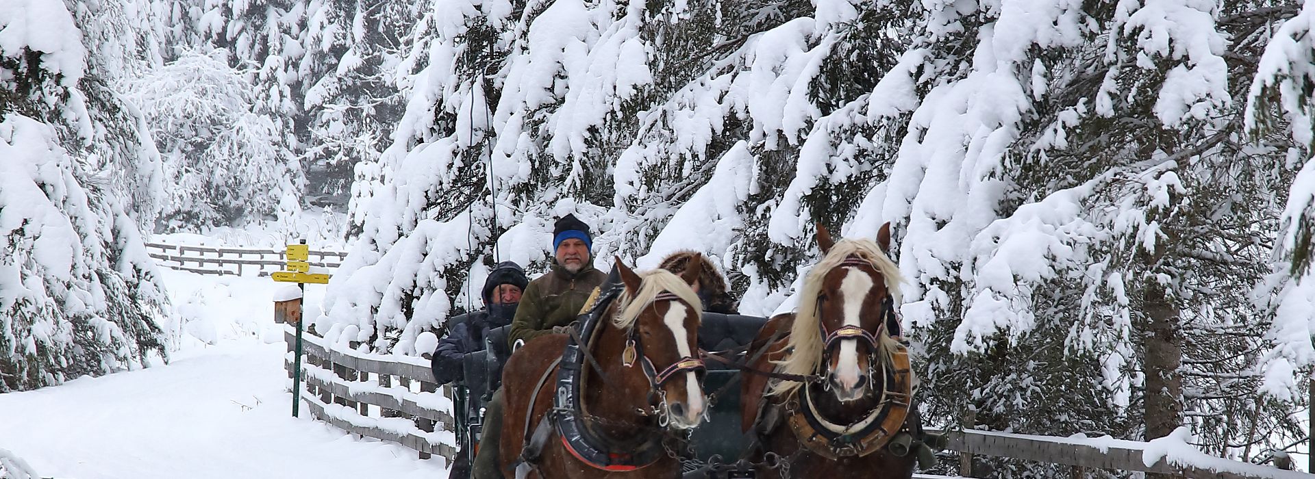 pferdeschlittenfahrt-winter-hoch