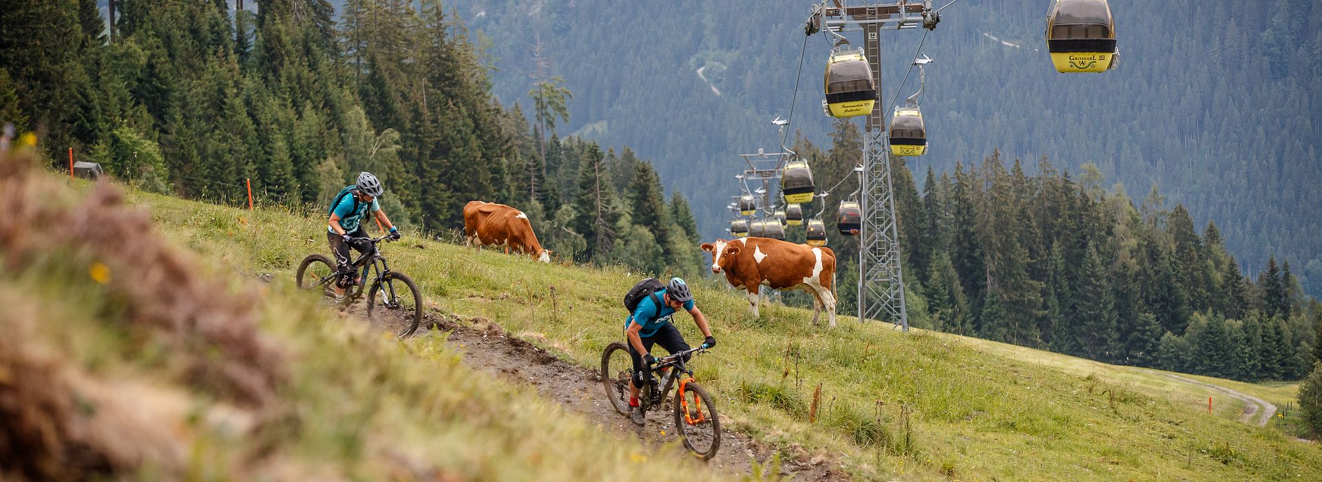 singletrail-panoramabahn-erwin-haiden-ed986c3ae3dc4561918286d68fb0cc78