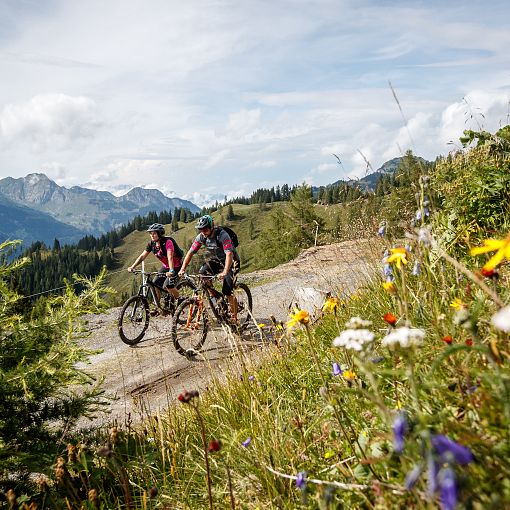 Biken am Forstweg