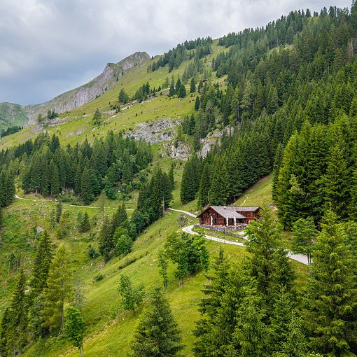 Drohnenaufnahme Mooslehenalm (2)