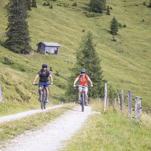 E-Biken am Forstweg