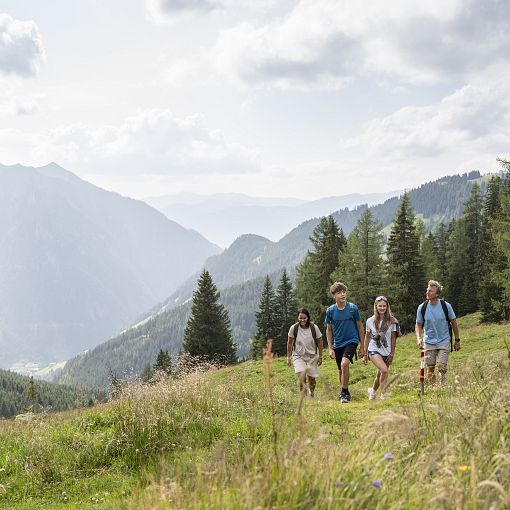 Familie beim Wandern über Almwiese