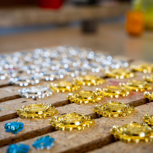 Wandernadeln Rohlinge