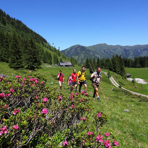 Hirschgrubenalm-Wanderung