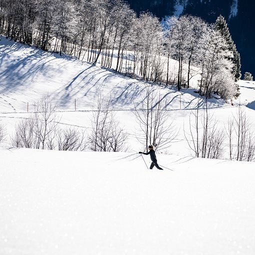 Klassisch langlaufen (hoch 1)