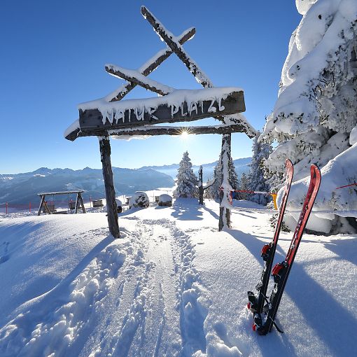 Naturplatzl mit Ski (1)