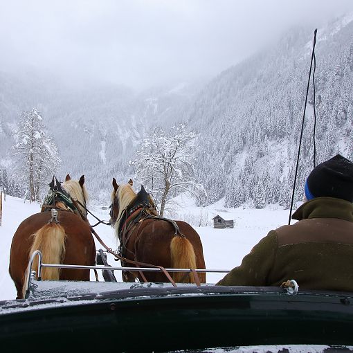 Pferdekutsche fahren im Winter