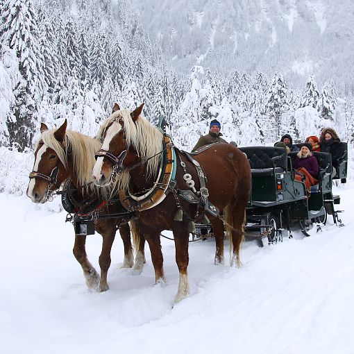 Pferdekutsche im Winter