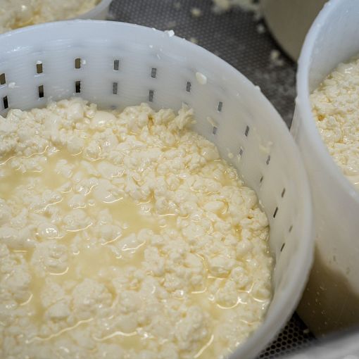 Sauerkäse frisch