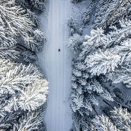 Schlittenfahren in der Winterlandschaft