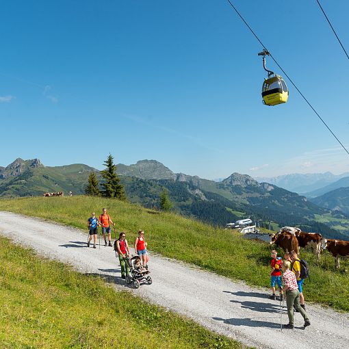 Seilbahn wandern (1)