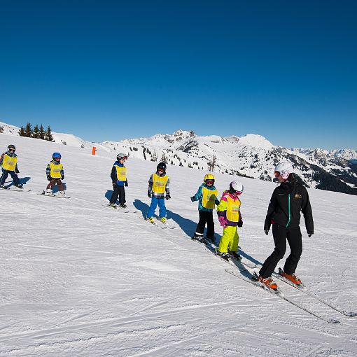 Skikurs Skischule Panorama (1)