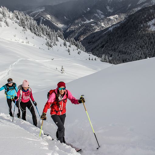 Skitour durch den Tiefschnee