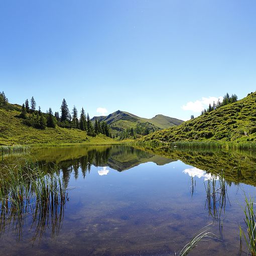 Trögseen im Sommer