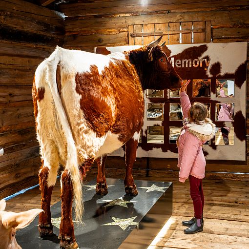 Kind im Talmuseum Hüttschlag