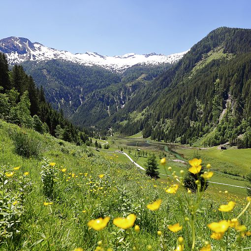 Talschluss Ötzlsee