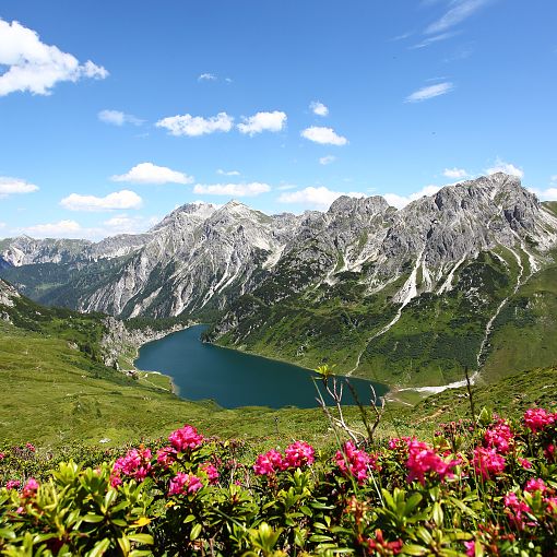 Tappenkarsee mit Almrosen