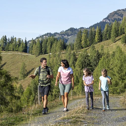 Wandern mit Familie am Forstweg