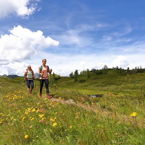 Wandern Salzburger Almenweg