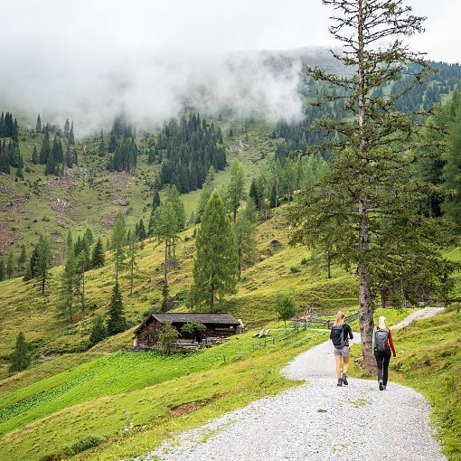 Wanderung zur Karseggalm (2)