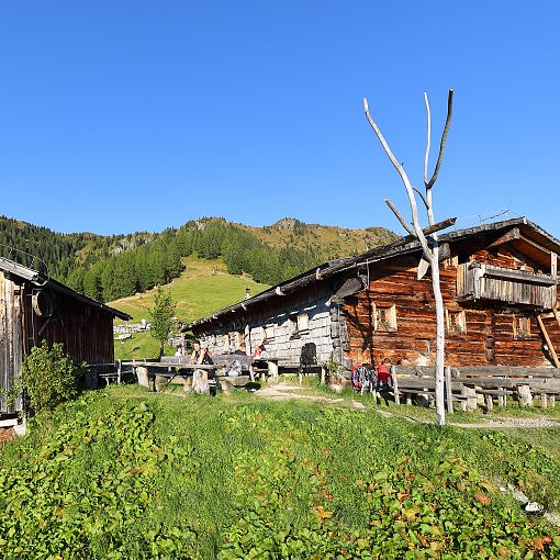 Weißalm (1)