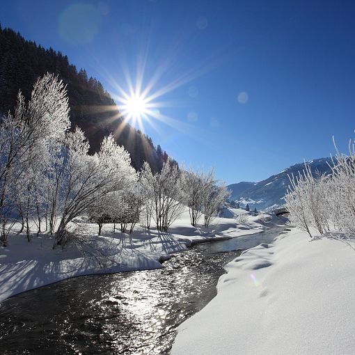 Winterlandschaft beim Bach