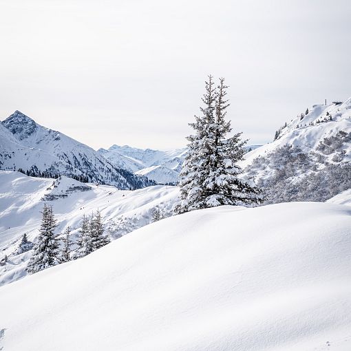 Winterlandschaft am Kieserl (hoch)