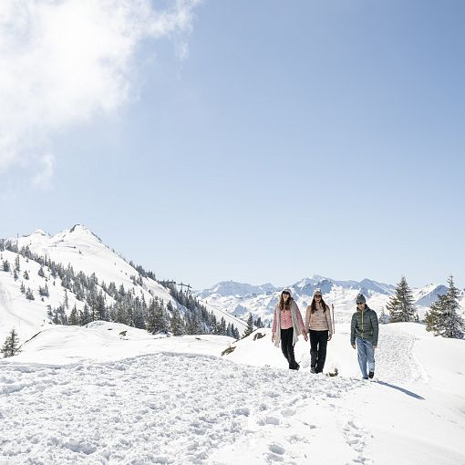Winterwandern im Großarltal (3)
