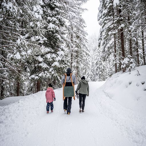Winterwandern im Großarltal