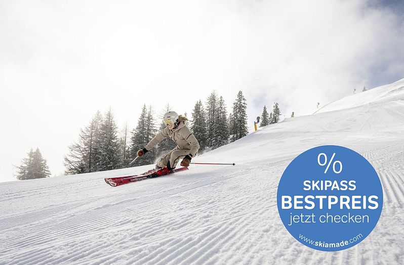 Bestpreis Button mit Skifahrer