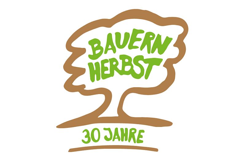 BH-Baum Jubiläum