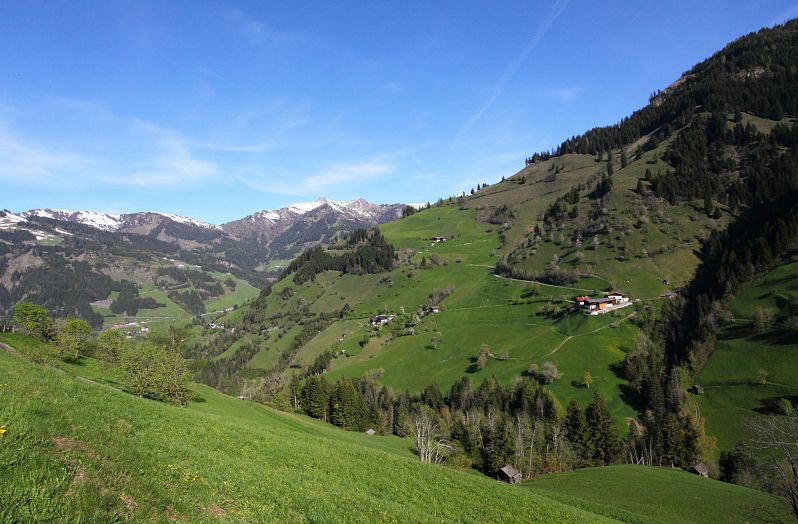 Ellmautal Panorama