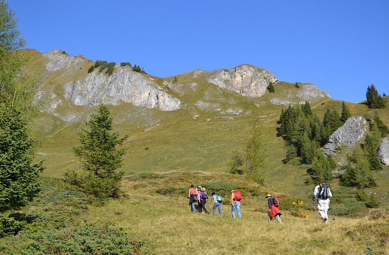 Entschleunigungstag BERG-GESUND