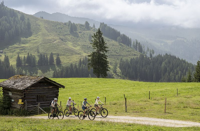 Mountainbiker am Forstweg