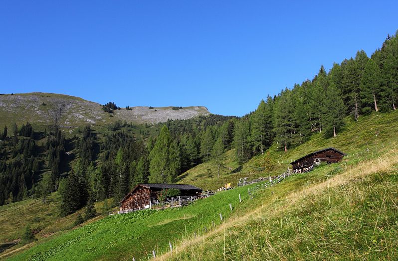 Karseggalm