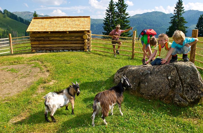 Kinder bei den Streicheltieren