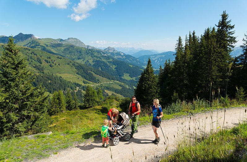 Kinderwagenwanderung