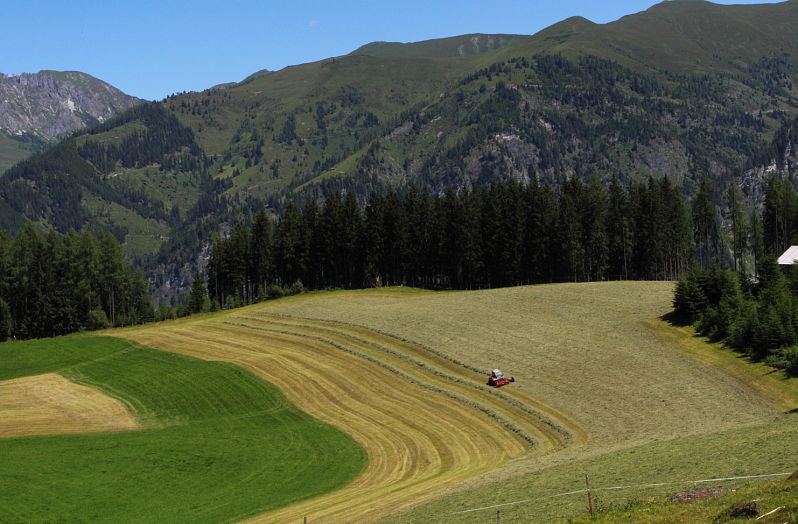 Landschaftspflege