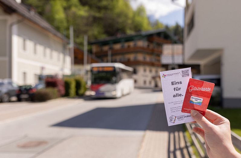 Wandertaxi (1)