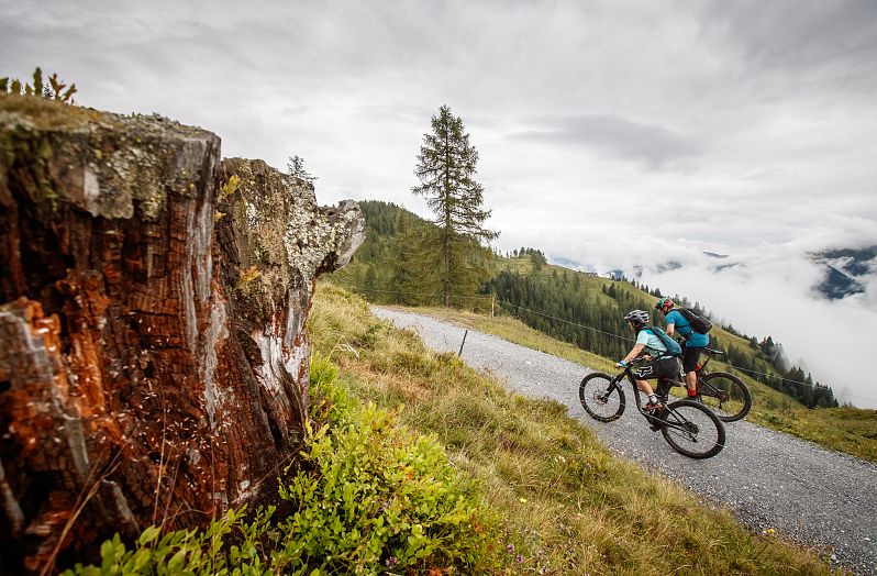 Mountainbiker am Forstweg