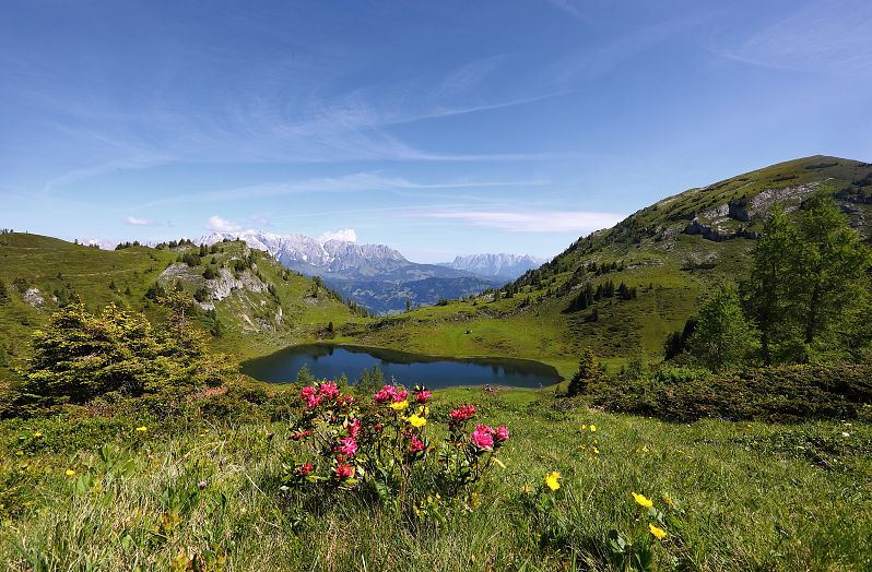 paarseen-obere-sommer