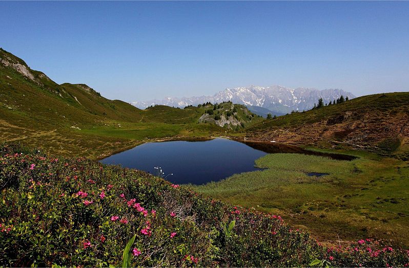 paarseen-obere-sommer