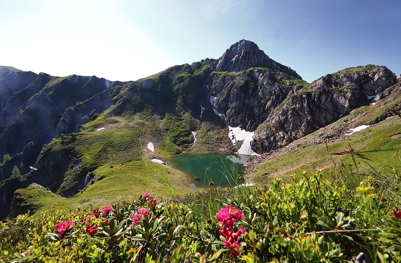 Schuhflickersee Almrosen