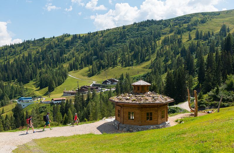 Großarler Sinnesweg Holzturm