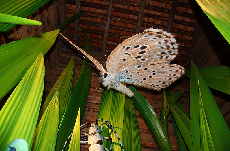 Talmuseum Nationalpark Hüttschlag