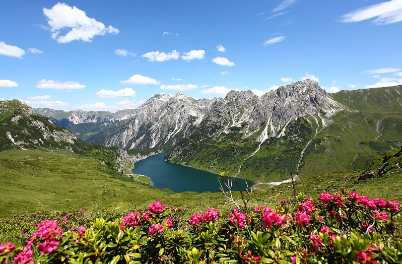 Tappenkarsee mit Almrosen