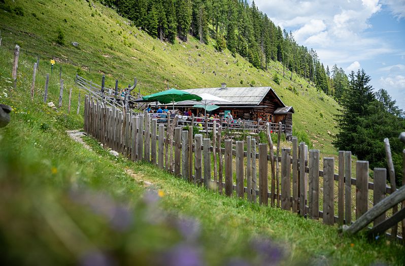Niggeltalalm (2)