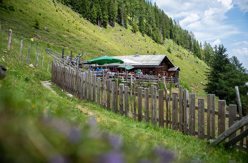 Niggeltalalm (2)