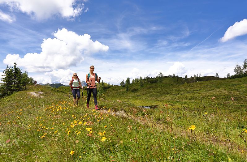 Wandern Salzburger Almenweg